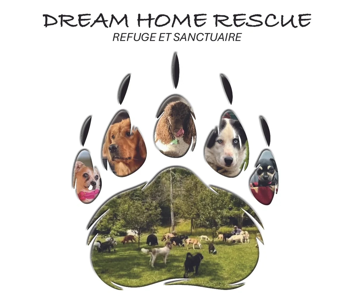 Dream Home Rescue adoption de chiots laurentides