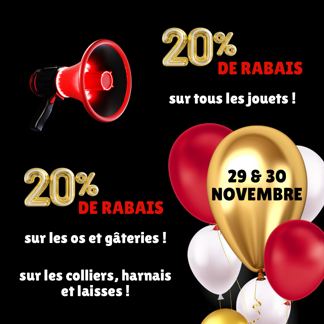 Vendredi fou rabais accessoires jouets gâteries