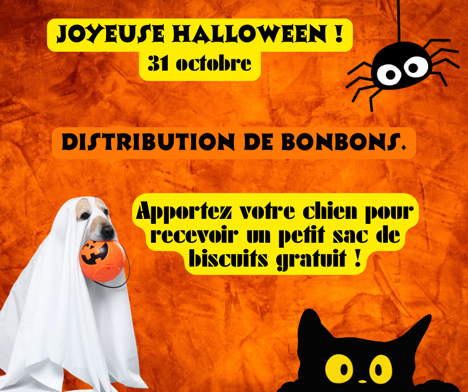 Joyeuse halloween distribution de bonbons