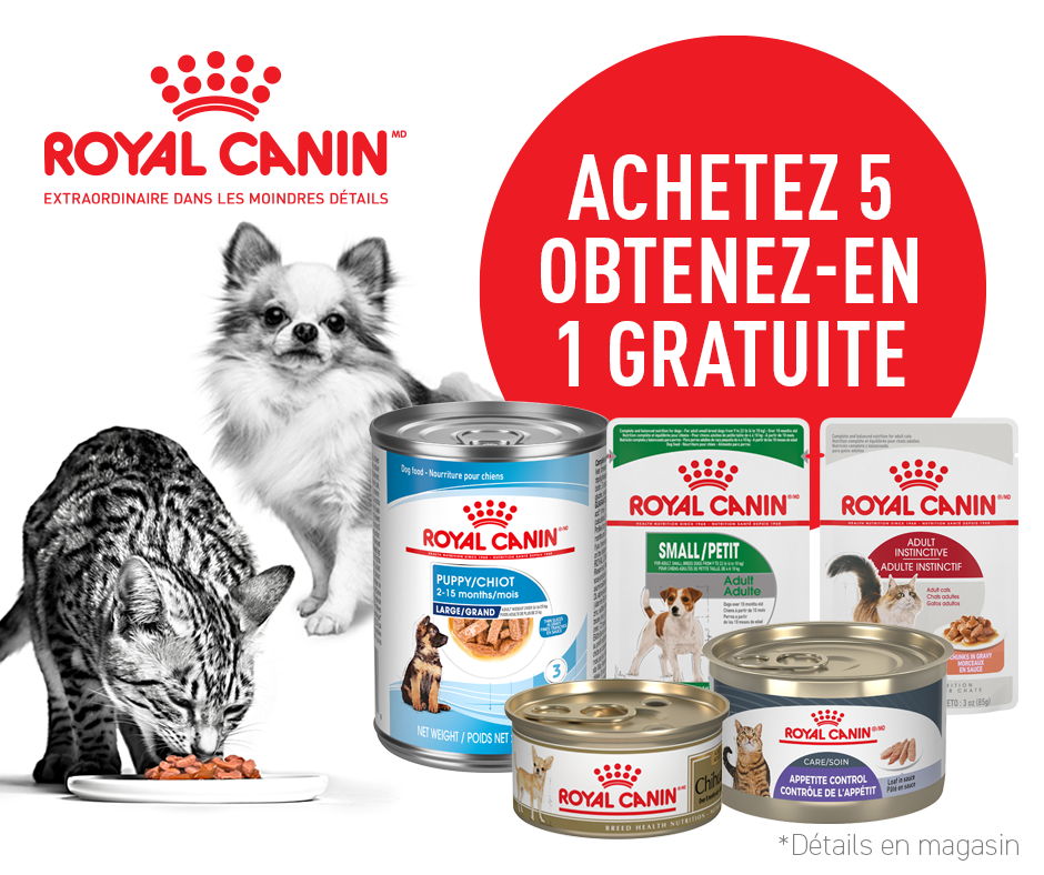 Royal Canin conserves pour chats et chiens en rabais