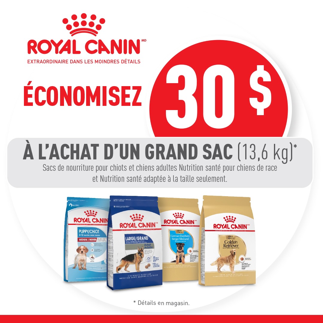 Royal Canin chiens rabais 