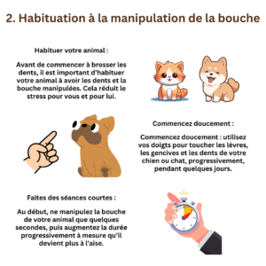 Brossage des dents chats et chiens