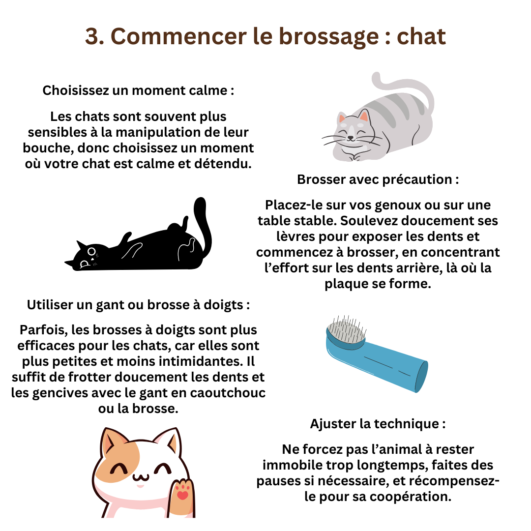 Brossage des dents chats et chiens