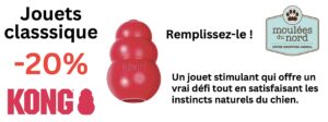 Kong classique pour chiens