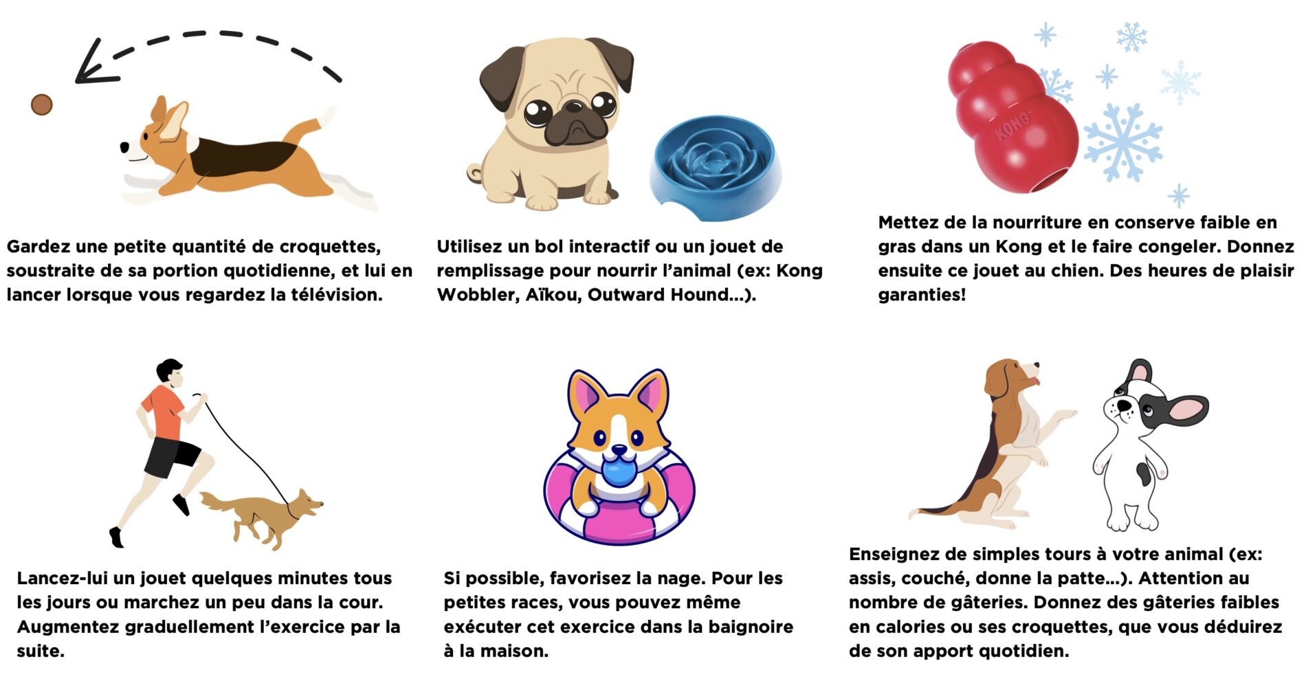 Astuces pour faire bouger votre chien