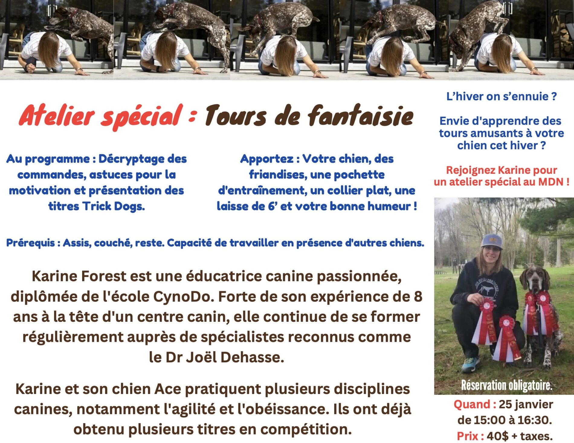 Atelier tours de fantaisie pour chiens