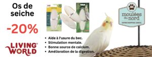 Os de seiche Living World pour oiseaux domestiques