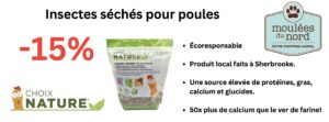 Insectes séchés pour poules