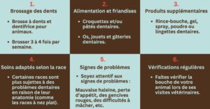 Conseils santé bucco-dentaire