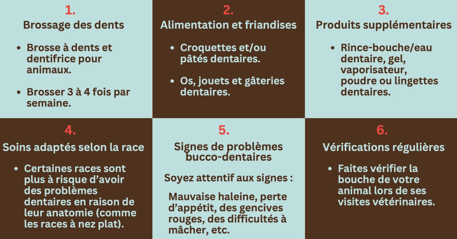 Conseils santé bucco-dentaire