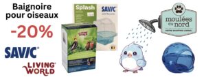 Baignoire pour oiseaux