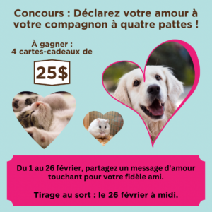 Concours-tirage février message d'amour Saint-Valentin