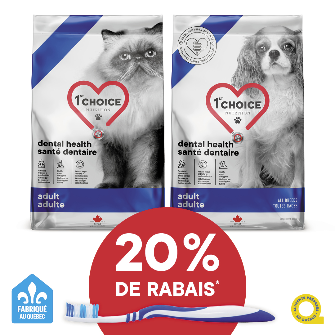 Rabais 1st Choice dentaire pour chiens et chats