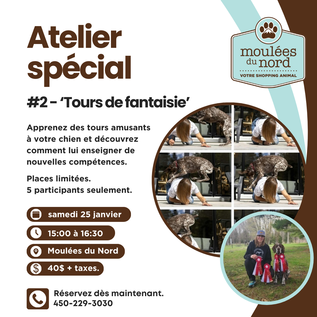 Ateliers pour chiens janvier tours de fantaisie