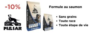 Horizon Pulsar poisson pour chiens rabais de mars