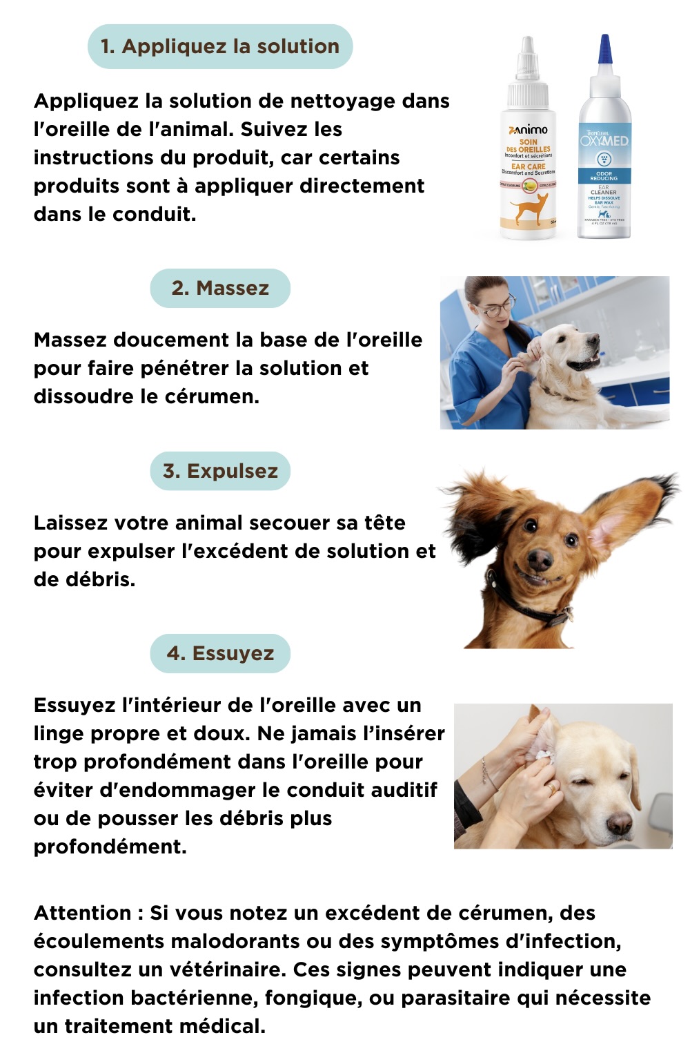 Comment bien nettoyer les oreilles chats et chiens