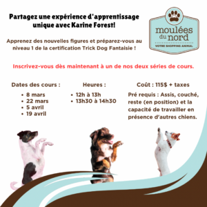 Cours de fantaisie