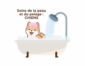 Soins de la peau et du pelage chiens