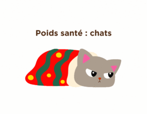 Poids santé et perte de poids chats