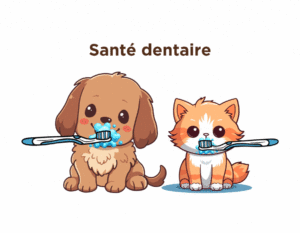 Santé dentaire chats et chiens