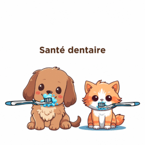 Santé dentaire chats et chiens