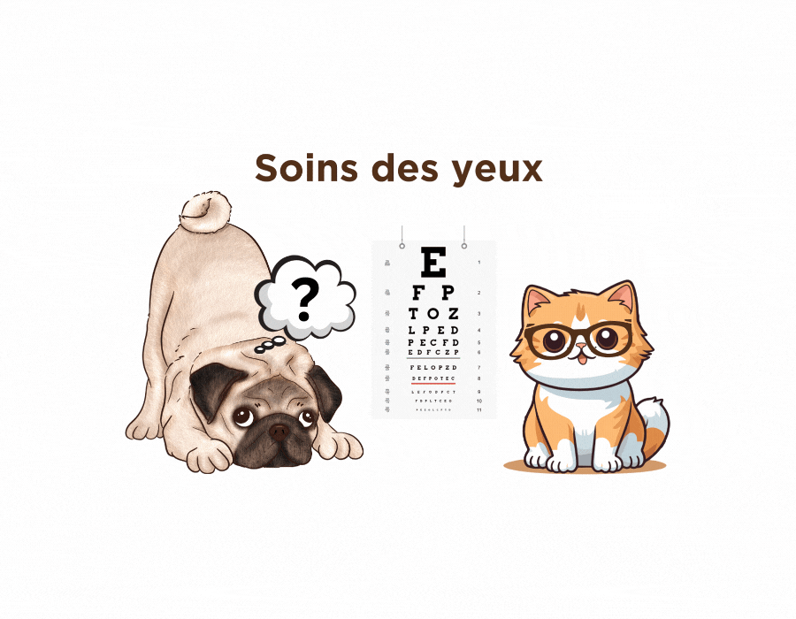 Soins des yeux chiens et chats