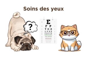 Soins des yeux chiens et chats