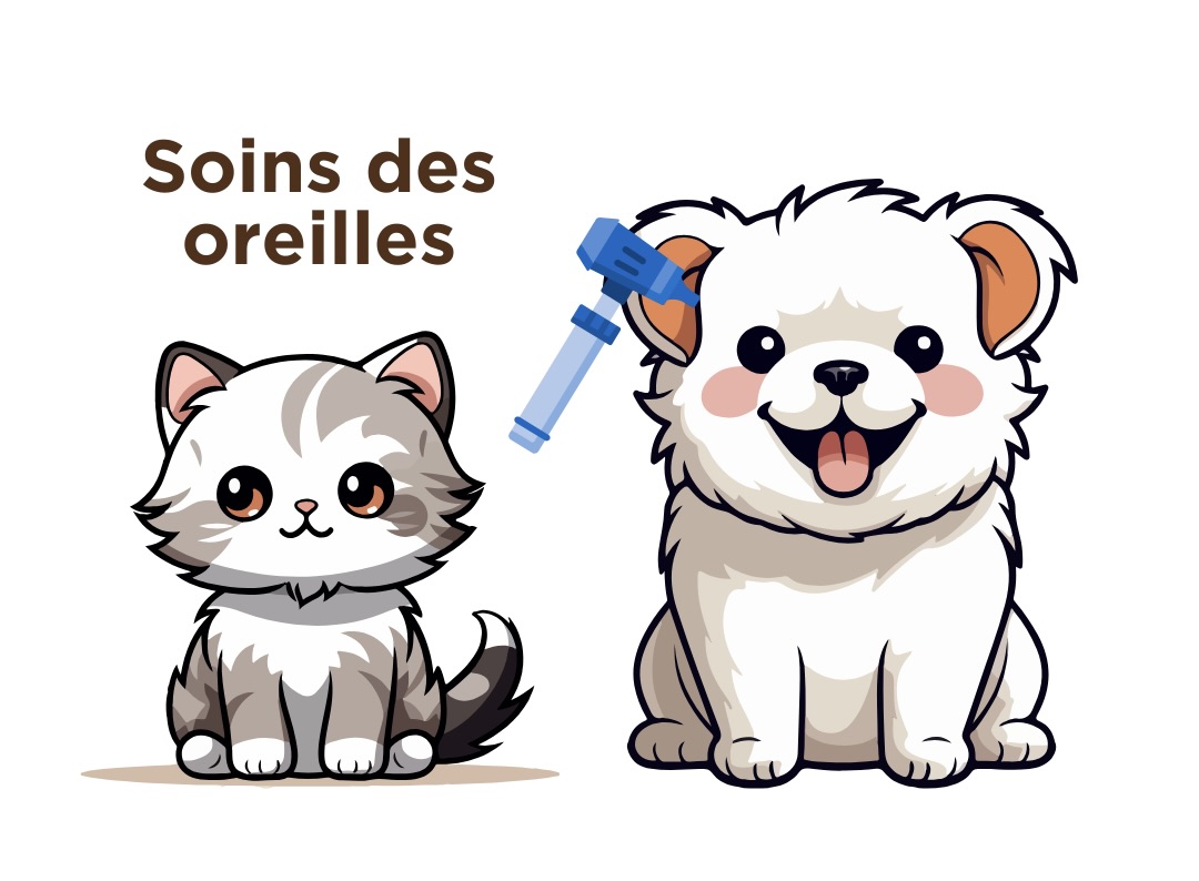 Soins des oreilles chiens et chats