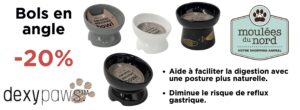 Dexypaws bols en angle en rabais pour avril : mois de la santé digestive