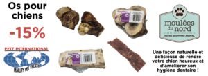Os Dog Bites en promotions pour le mois d'avril