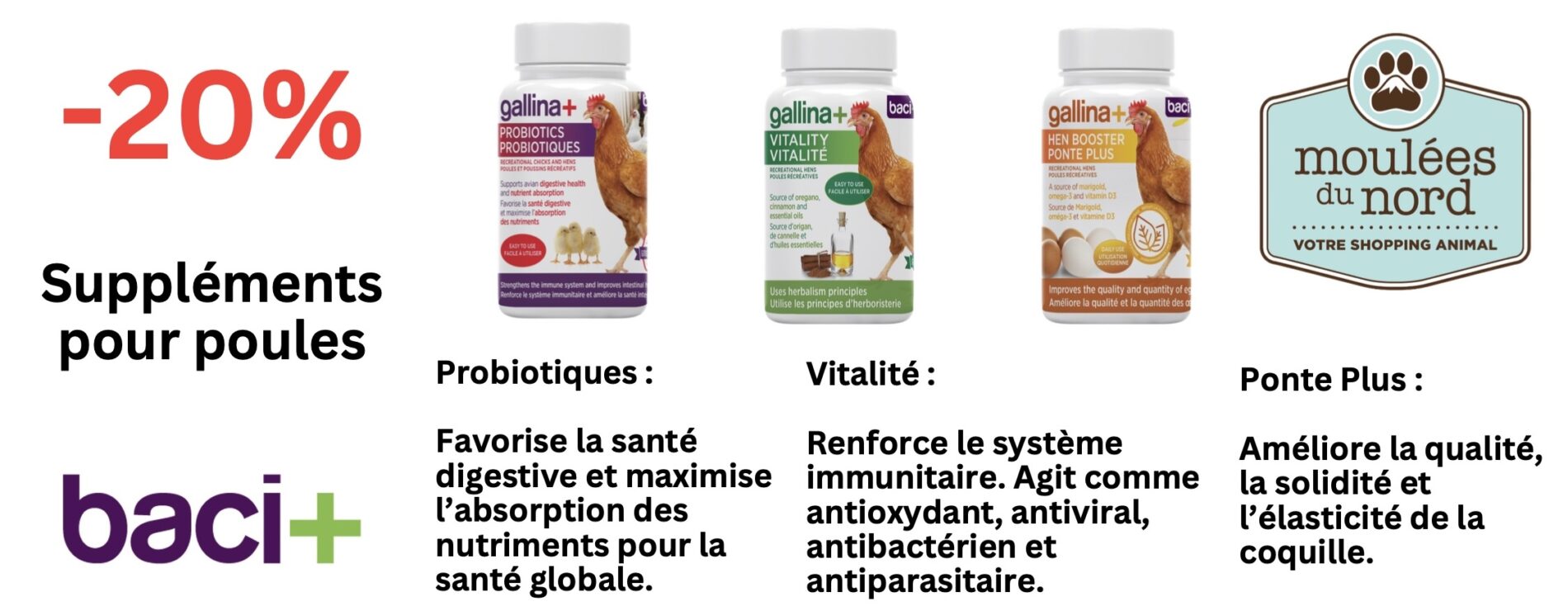 Baci Gallina pour poules en promotions pour avril : mois de la santé digestive