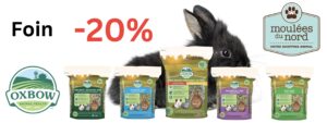 Foin Oxbow en promotion cette avril pour les petits animaux