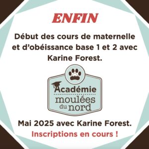 Cours d'obéissance canin