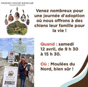 Dream Home Rescue