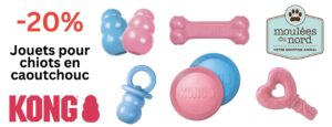 Jouets Kong chiots en rabais pour mai