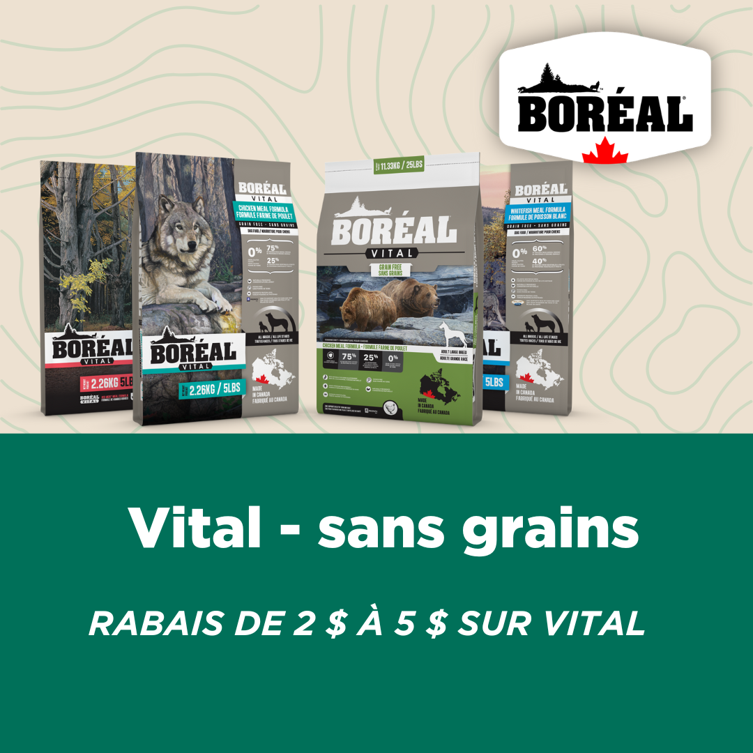 Rabais Boréal