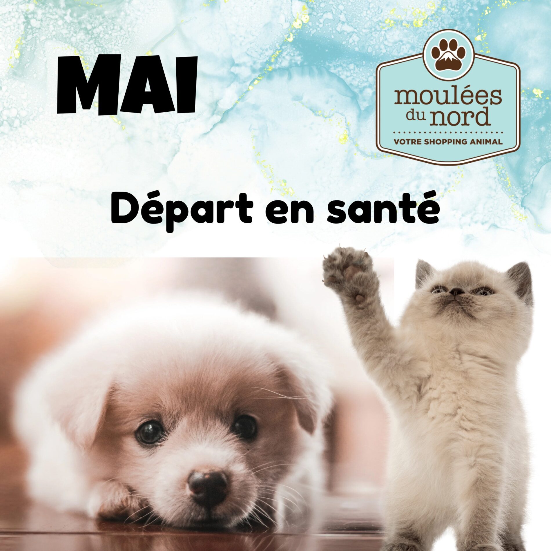 Promotion de mai : départ en santé