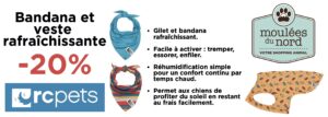 Bandana et vest rafraichissante RC Pets