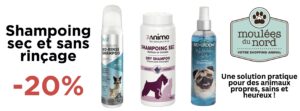 Shampoing sec et sans rinçage en promotion