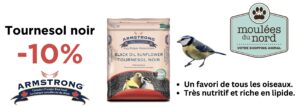 Promotion sur les gros sacs de tournesol noir