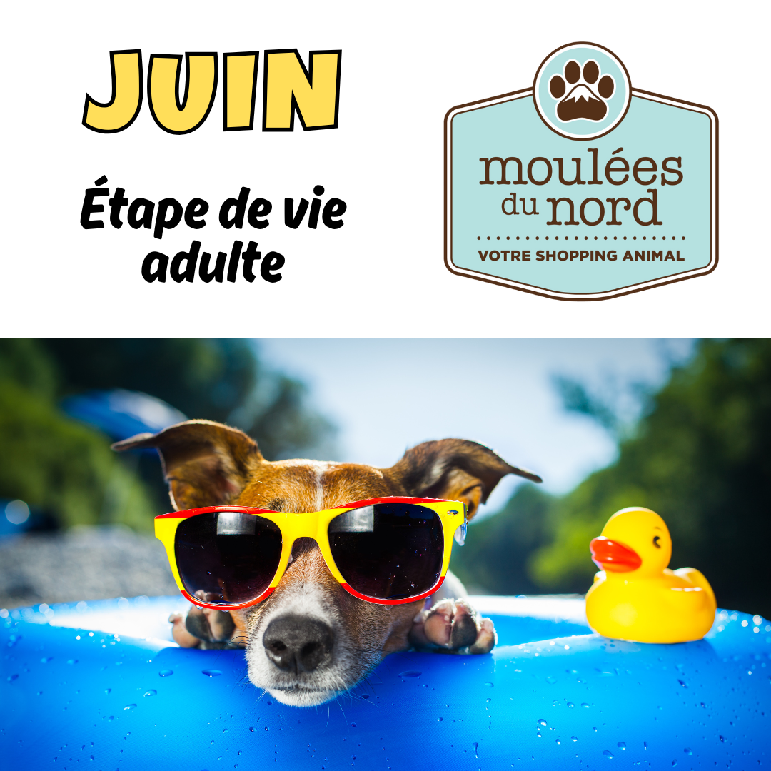 Promotions de juin 2025