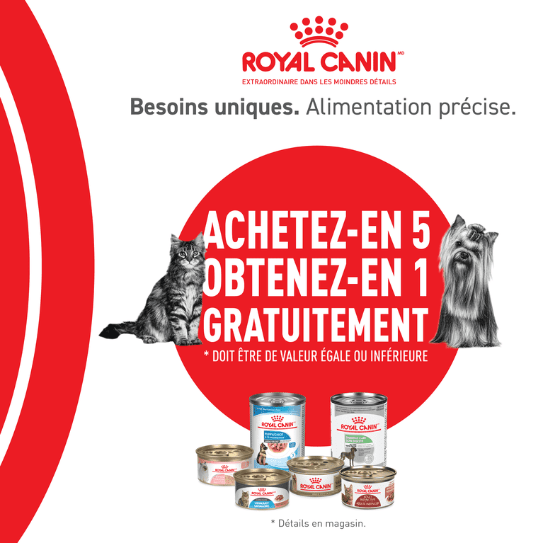 Conserves Royal Canin en rabais