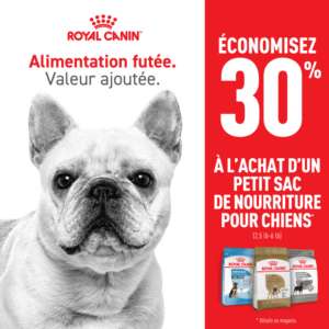 Royal Canin petit sacs pour chiens en promotion pour août
