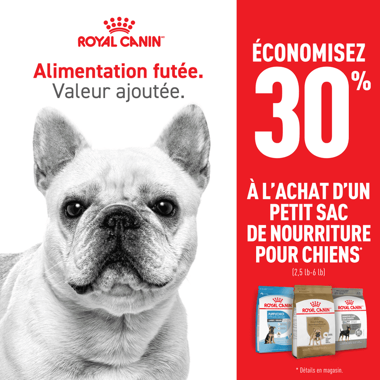 Royal Canin petit sacs pour chiens en promotion pour août 