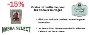Grains d'oiseaux en rabais