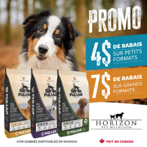 Rabais sur Horizon Pulsar pour chiens