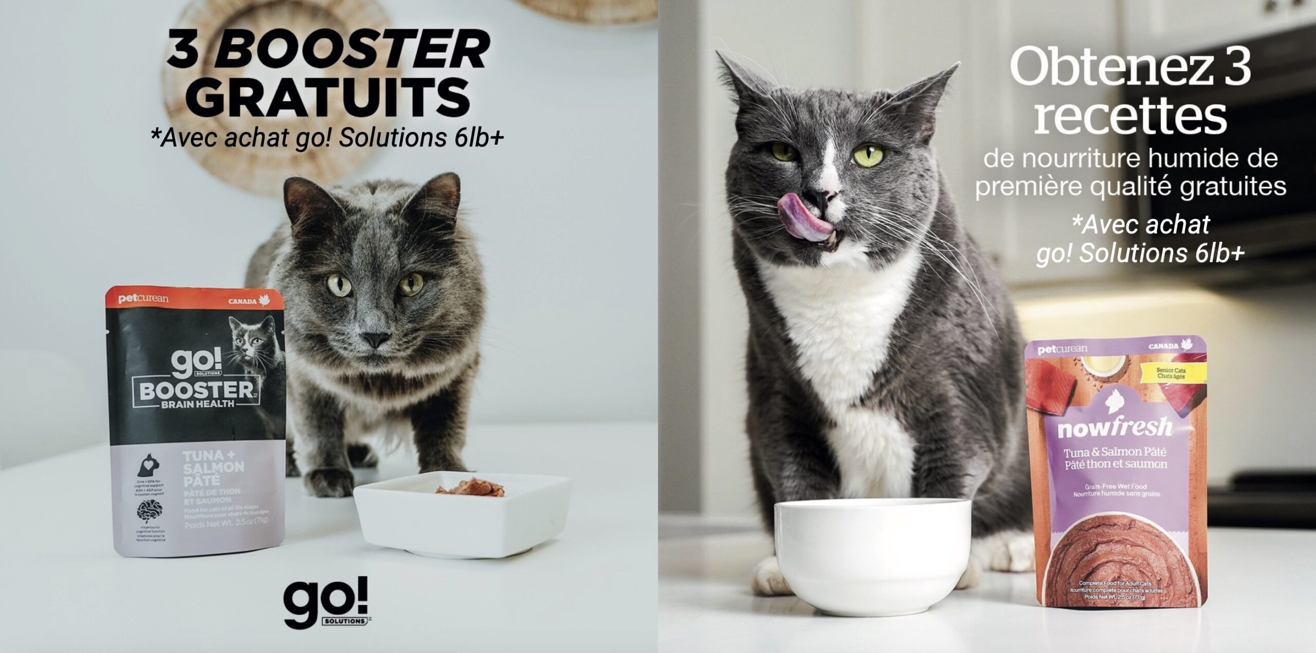 Petcurean pour chats