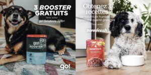 Petcurean pour chiens