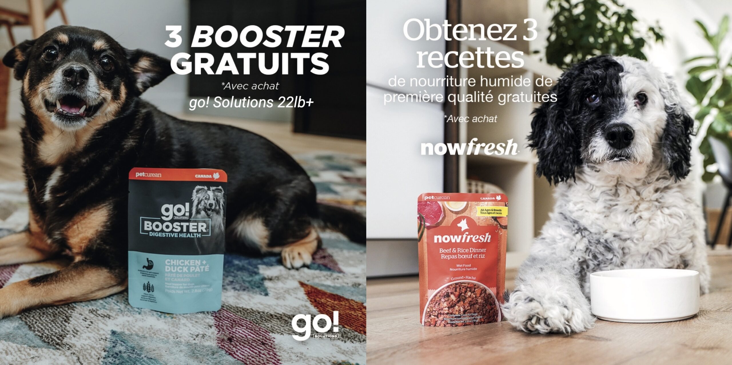 Petcurean pour chiens