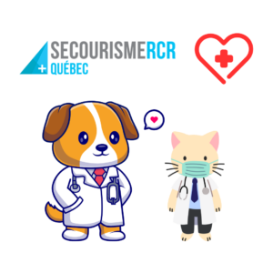 Secourisme RCR pour animaux de compagnie